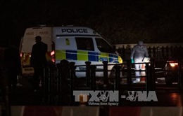Vụ tấn công bên ngoài Điện Buckingham (Anh): Đối tượng tấn công có yếu tố Hồi giáo 